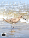 Galveston Magazine